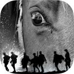 War Horse Interactive