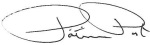 Patricia Post Signature